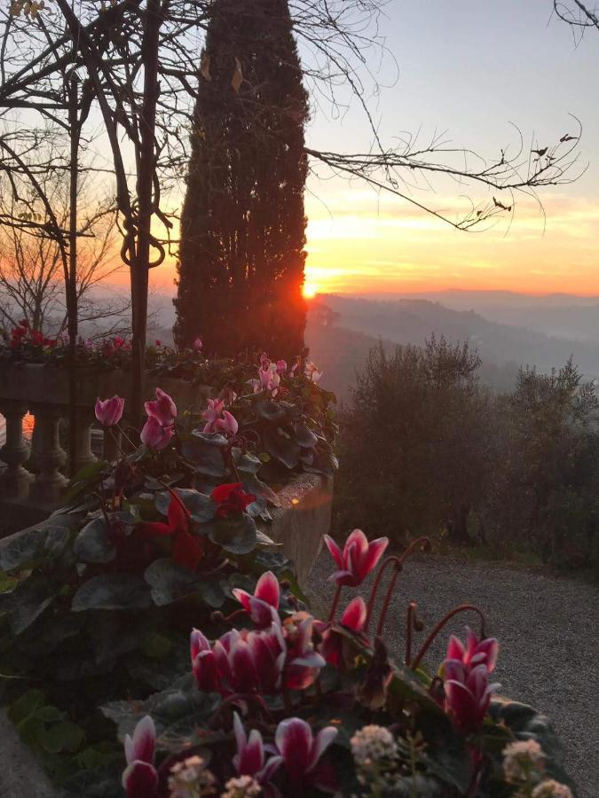 Villa La Piccioncina Firenze מראה חיצוני תמונה